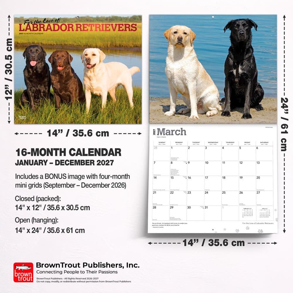 Lab Retrievers 2027 Deluxe Wall Calendar Sixth Alternate Image