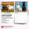 image Lab Retrievers 2027 Deluxe Wall Calendar Sixth Alternate Image