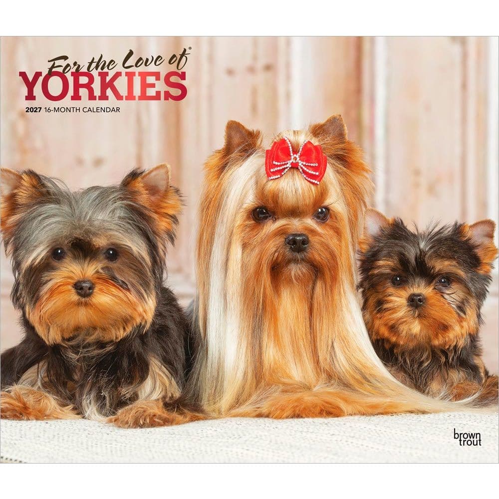 Yorkshire Terriers 2027 Deluxe Wall Calendar Main Product Image