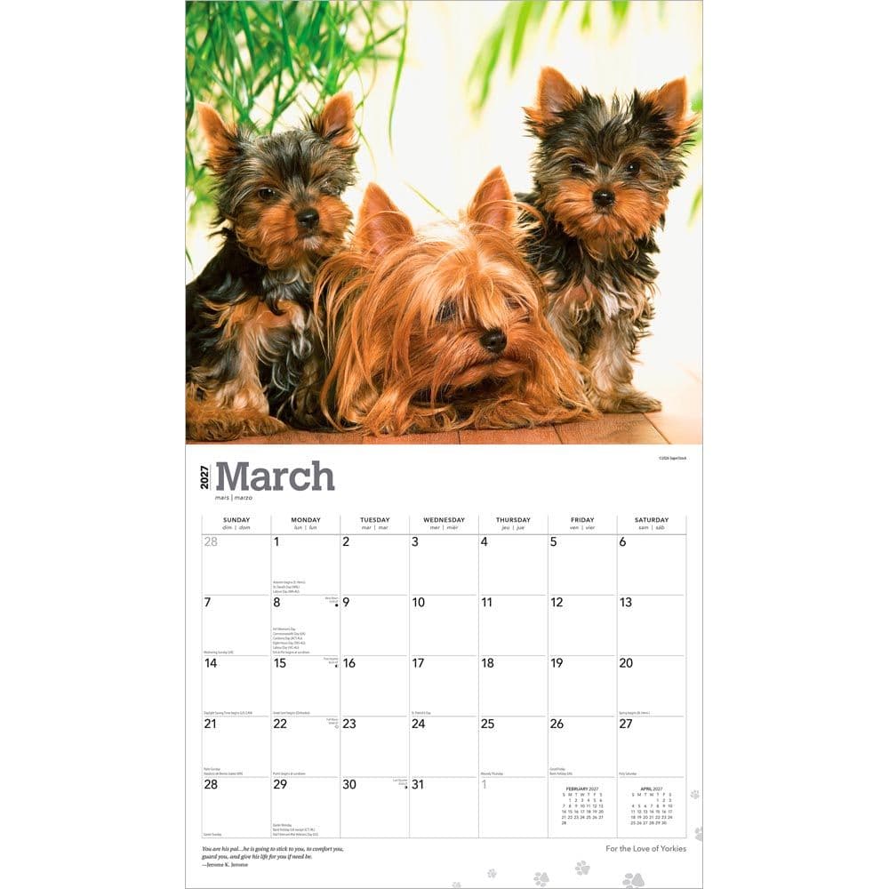 Yorkshire Terriers 2027 Deluxe Wall Calendar Second Alternate Image