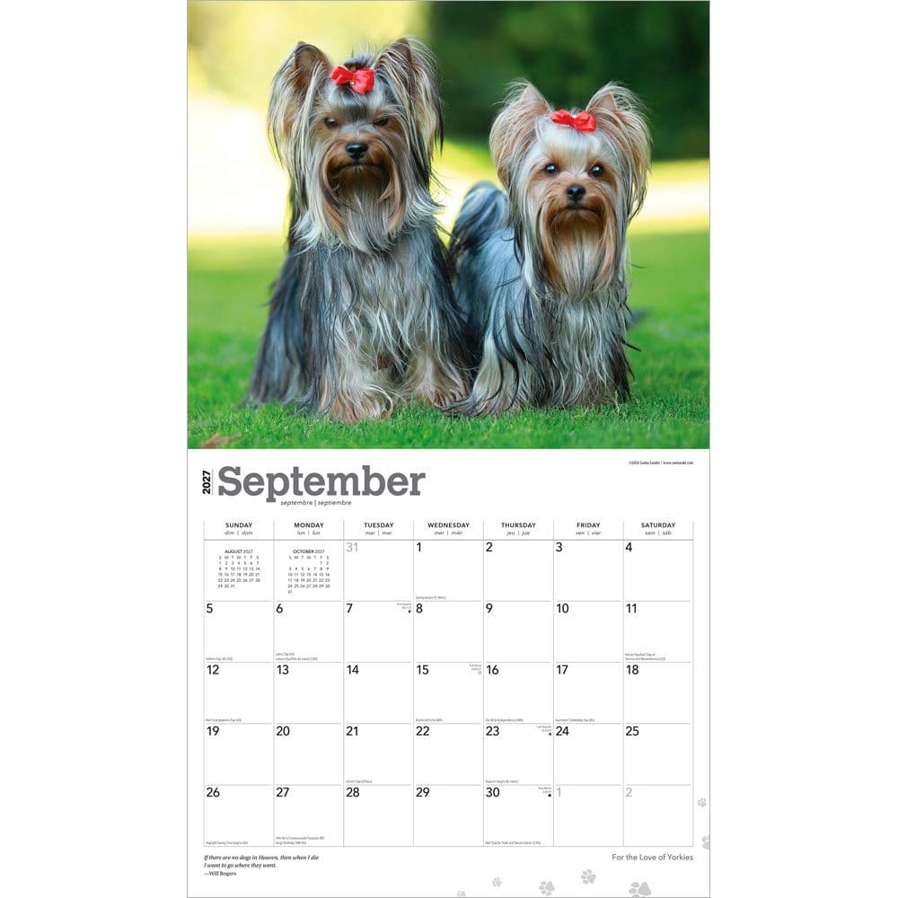 Yorkshire Terriers 2027 Deluxe Wall Calendar Third Alternate Image