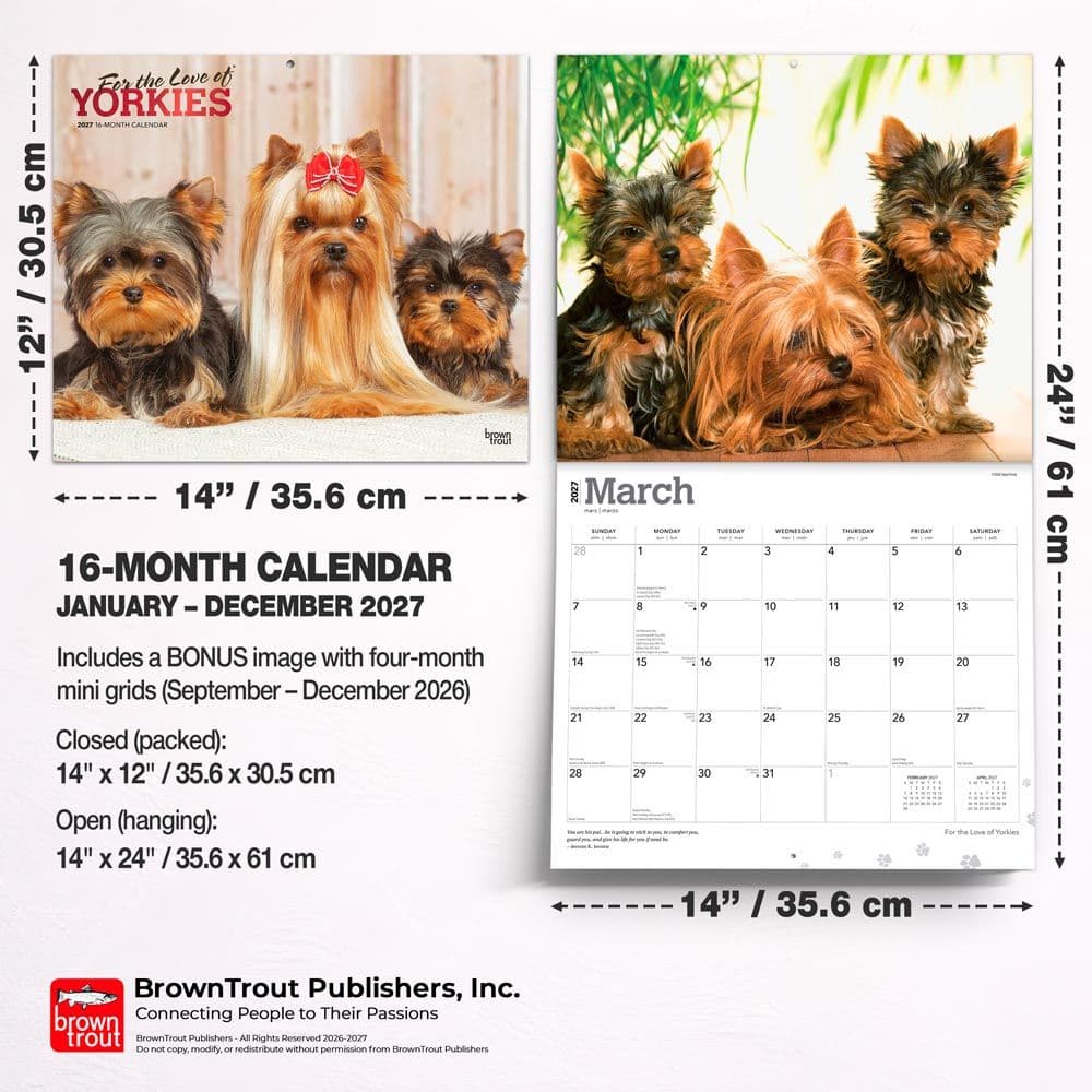 Yorkshire Terriers 2027 Deluxe Wall Calendar Sixth Alternate Image