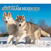 image Siberian Huskies 2027 Deluxe Wall Calendar Main Product Image