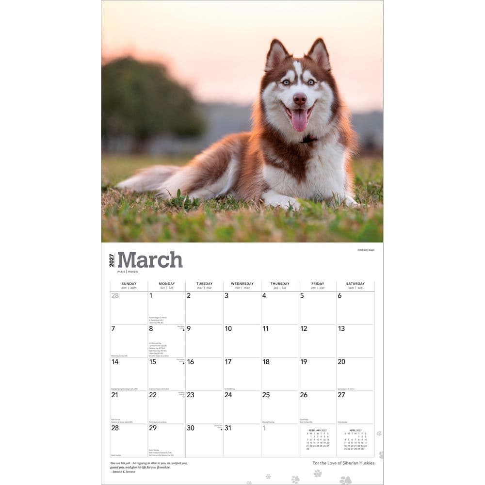 Siberian Huskies 2027 Deluxe Wall Calendar Second Alternate Image
