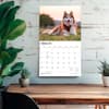 image Siberian Huskies 2027 Deluxe Wall Calendar Fourth Alternate Image