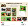 image Dachshunds 2027 Deluxe Wall Calendar First Alternate Image