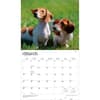 image Dachshunds 2027 Deluxe Wall Calendar Second Alternate Image