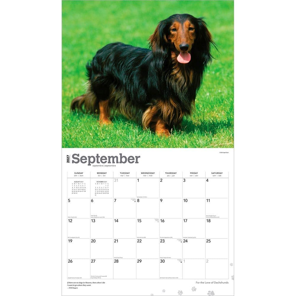 Dachshunds 2027 Deluxe Wall Calendar Third Alternate Image