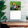 image Dachshunds 2027 Deluxe Wall Calendar Fourth Alternate Image