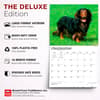 image Dachshunds 2027 Deluxe Wall Calendar Fifth Alternate Image