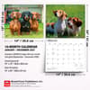image Dachshunds 2027 Deluxe Wall Calendar Sixth Alternate Image