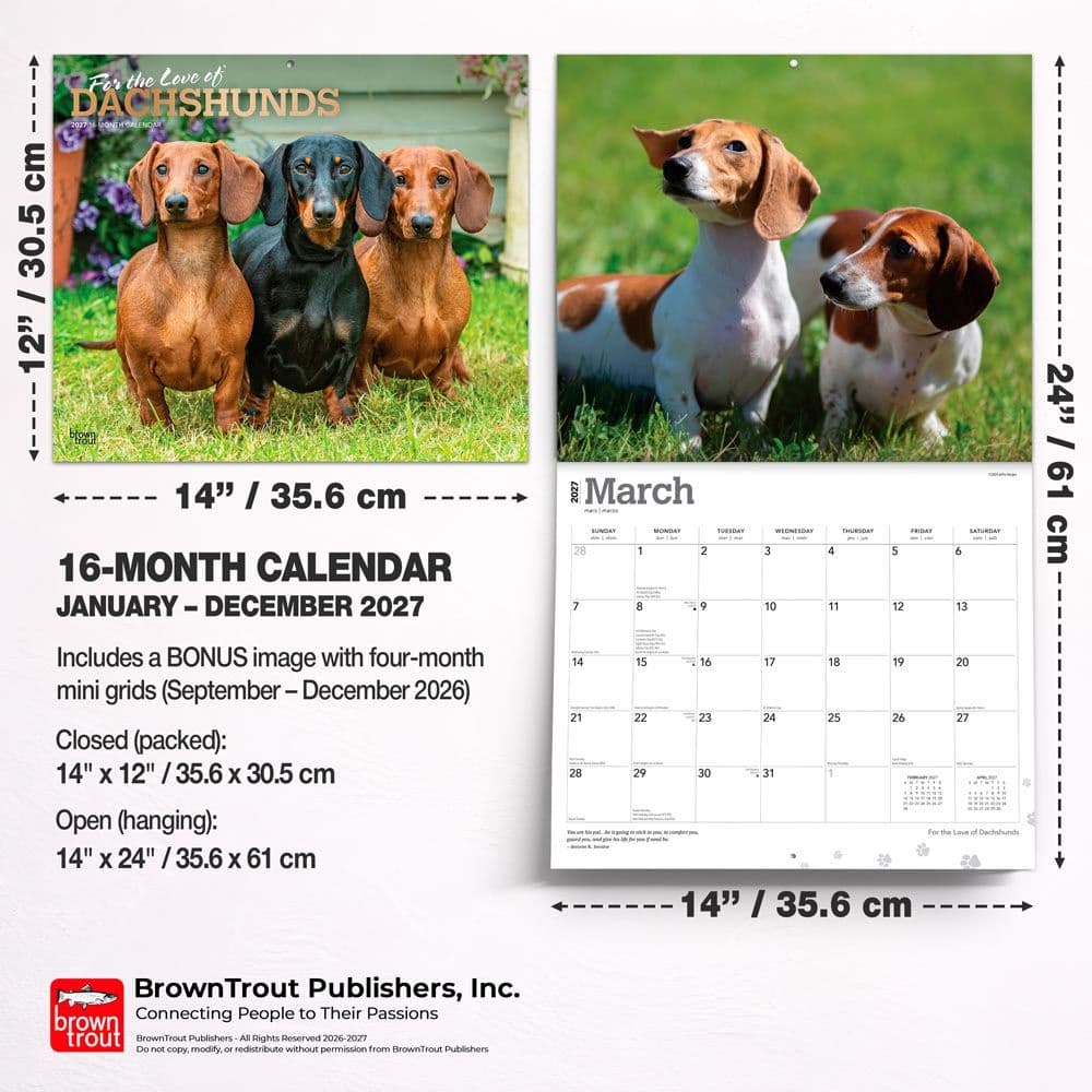 Dachshunds 2027 Deluxe Wall Calendar Sixth Alternate Image