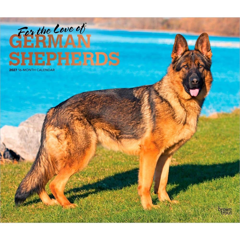 German Shepherds 2027 Deluxe Wall Calendar Main Product Image