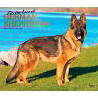 image German Shepherds 2027 Deluxe Wall Calendar Main Product Image
