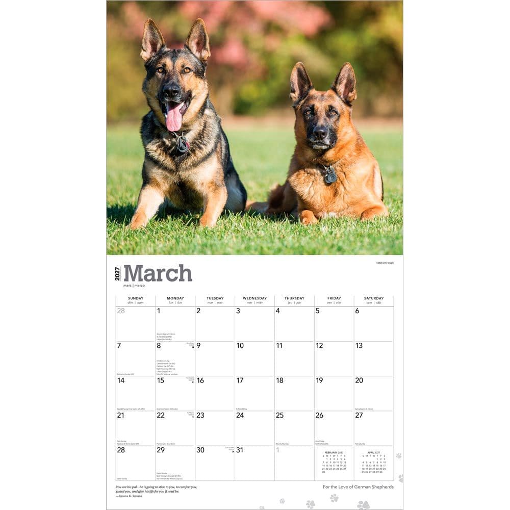 German Shepherds 2027 Deluxe Wall Calendar - Calendars.com