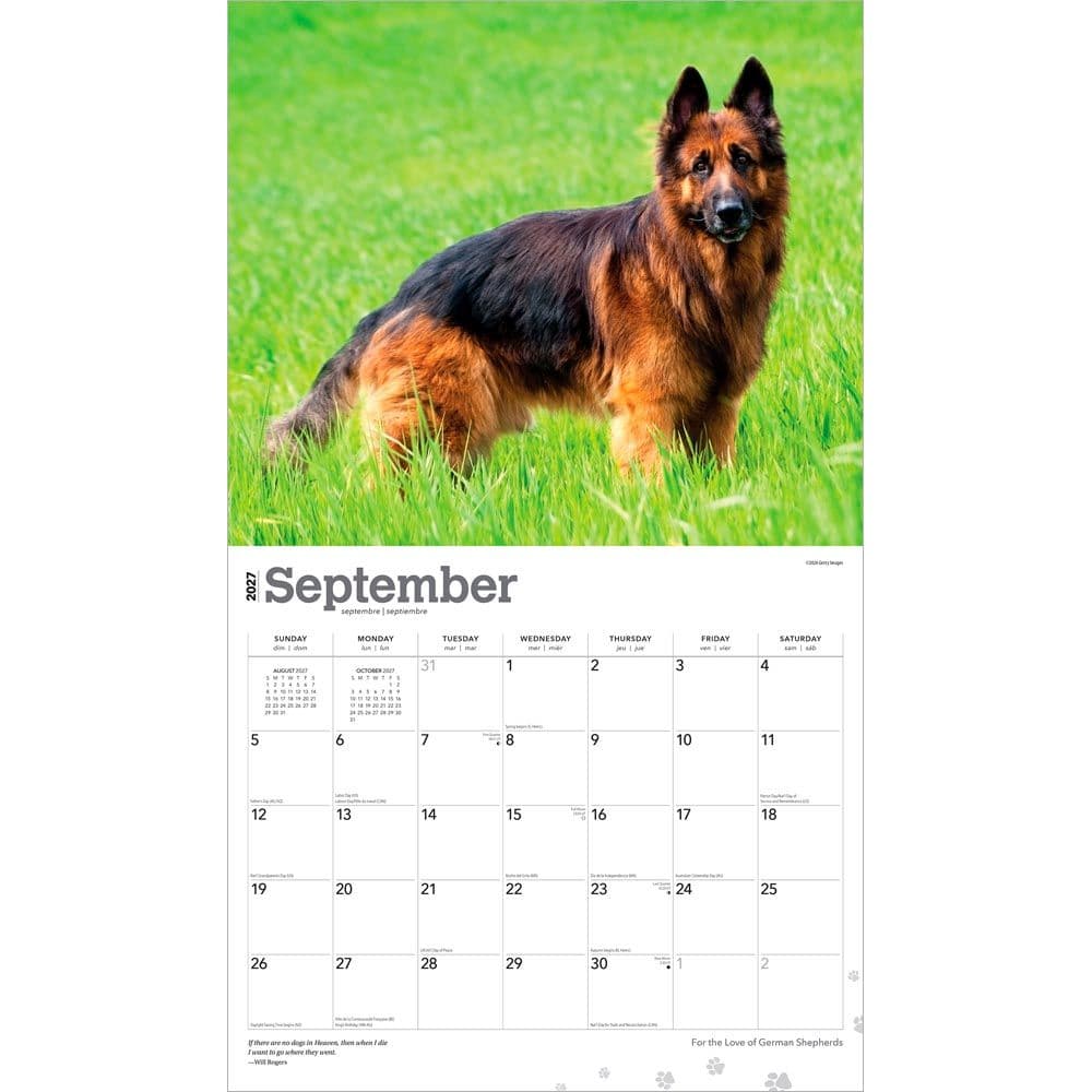 ・Germanshepherd・１９７４〜・１６×２０・ Copen・ German Shepherds 2027 Deluxe Wall Calendar - Calendars.com