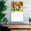 image German Shepherds 2027 Deluxe Wall Calendar Fourth Alternate Image