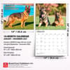 image German Shepherds 2027 Deluxe Wall Calendar Sixth Alternate Image