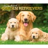 image Golden Retrievers 2027 Deluxe Wall Calendar Main Product Image