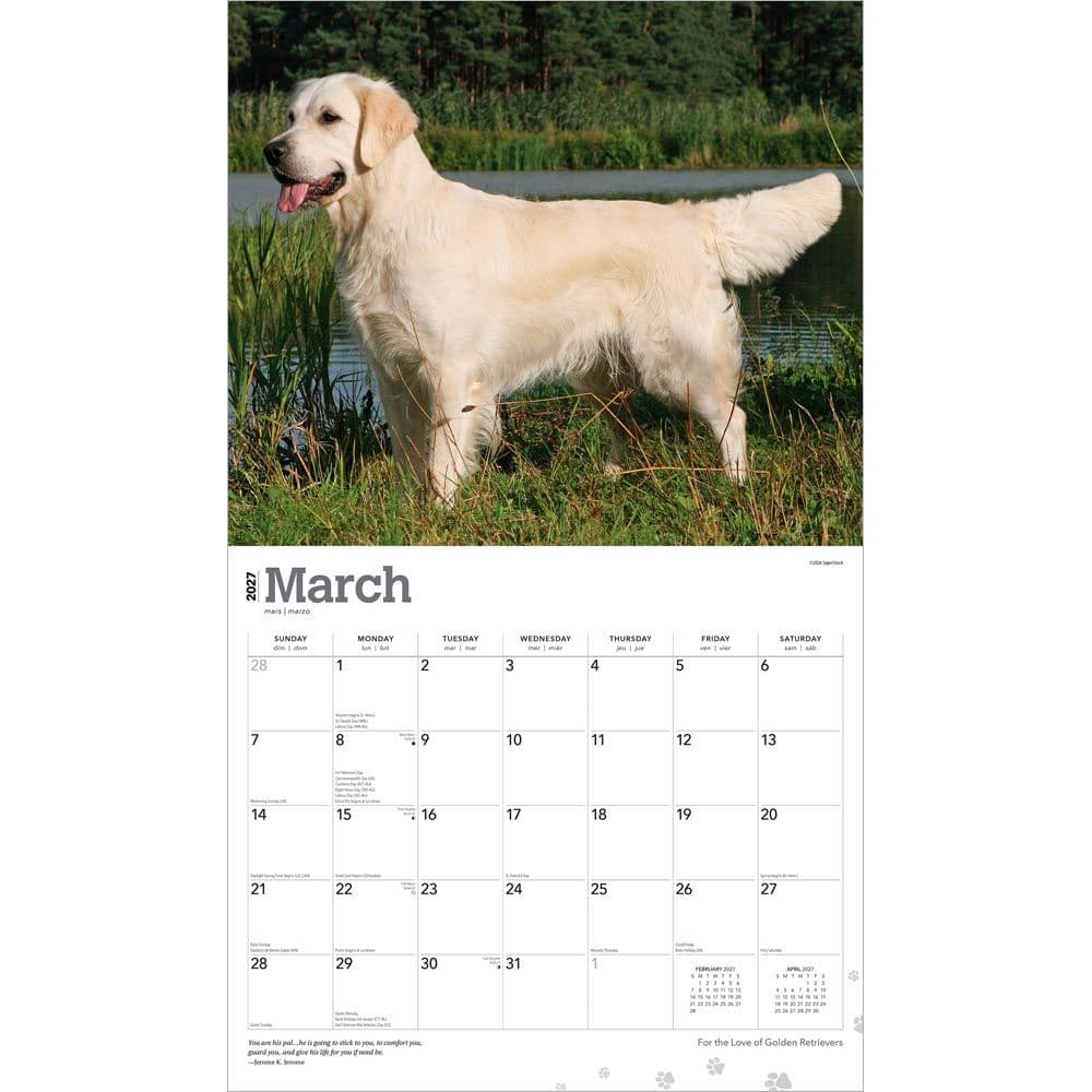 Golden Retrievers 2027 Deluxe Wall Calendar Second Alternate Image