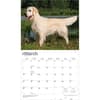 image Golden Retrievers 2027 Deluxe Wall Calendar Second Alternate Image