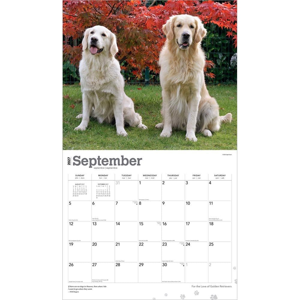 Golden Retrievers 2027 Deluxe Wall Calendar Third Alternate Image