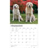 image Golden Retrievers 2027 Deluxe Wall Calendar Third Alternate Image