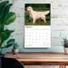 image Golden Retrievers 2027 Deluxe Wall Calendar Fourth Alternate Image