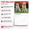 image Golden Retrievers 2027 Deluxe Wall Calendar Fifth Alternate Image