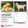 image Golden Retrievers 2027 Deluxe Wall Calendar Sixth Alternate Image