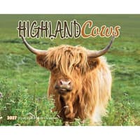 image Highland Cows 2027 Desk Calendar Main Product Image