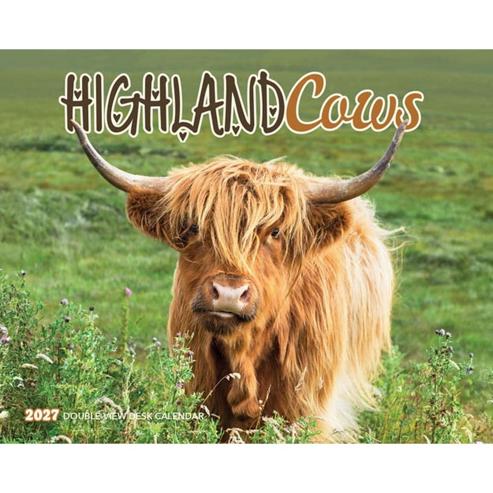 image Highland Cows 2027 Desk Calendar Main Product Image