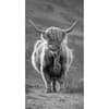 image Highland Cows Black &amp; White 2027 2 Year Pocket Planner Main Product Image