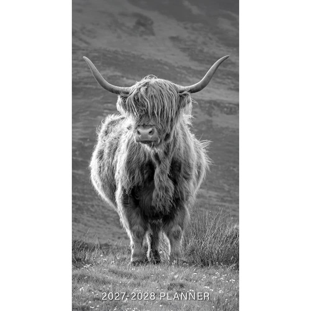 image Highland Cows Black &amp; White 2027 2 Year Pocket Planner Main Product Image