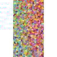 image Confetti Pop 2027 2 Year Pocket Planner Main Product Image