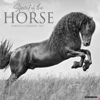 image Spirit of the Horse 2027 Wall Calendar Main Product Image