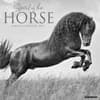 image Spirit of the Horse 2027 Wall Calendar Main Product Image