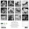 image Spirit of the Horse 2027 Wall Calendar First Alternate Image