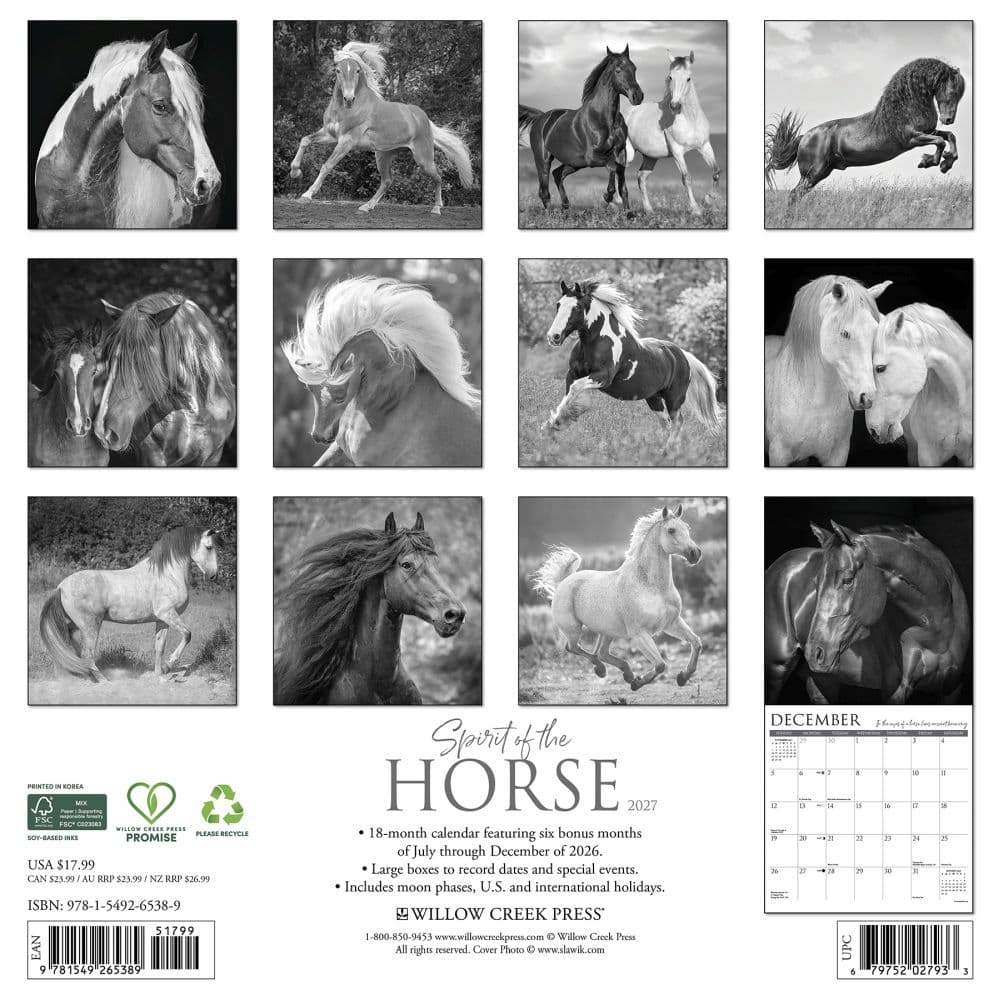 Spirit of the Horse 2027 Wall Calendar First Alternate Image