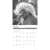 image Spirit of the Horse 2027 Wall Calendar Second Alternate Image