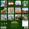 image Naughty by Nature 2027 Wall Calendar First Alternate Image