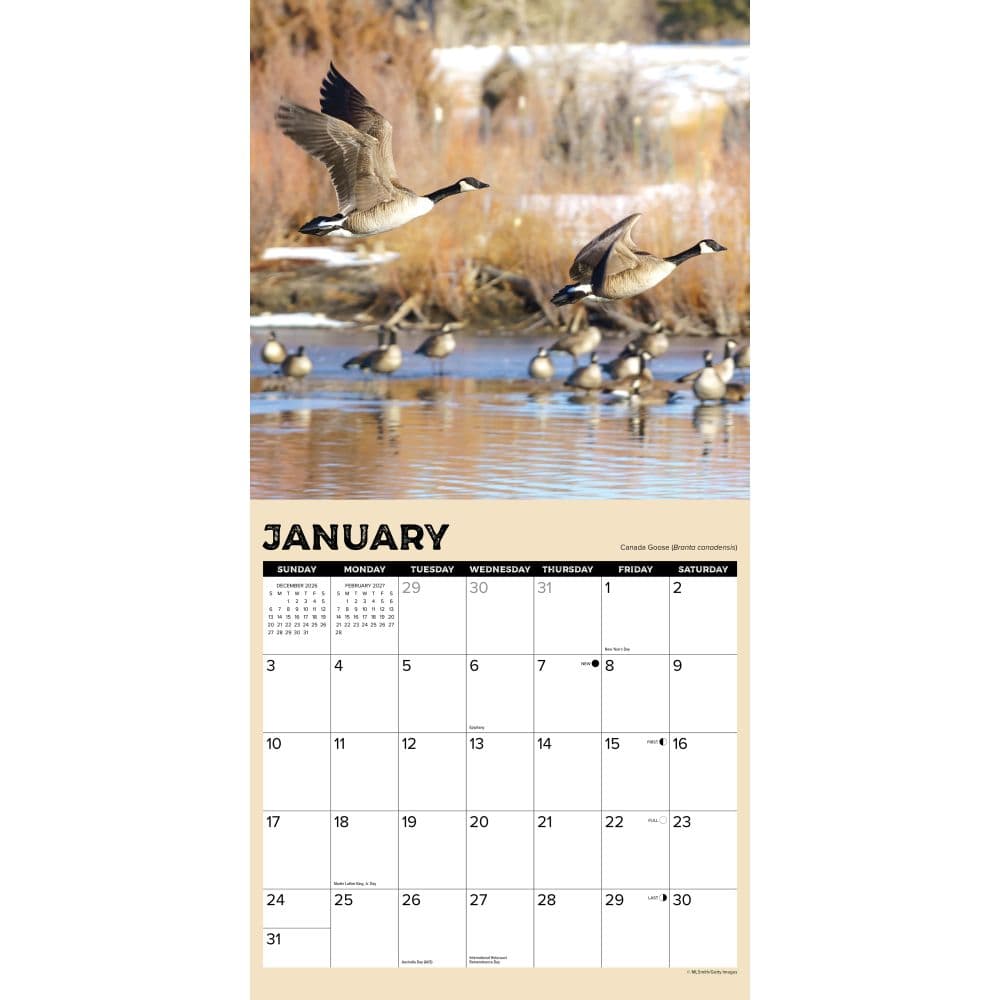 Gone Hunting 2027 Wall Calendar Second Alternate Image
