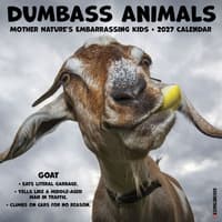 image Dumbass Animals 2027 Wall Calendar Main Product Image