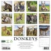 image Donkeys 2027 Wall Calendar First Alternate Image