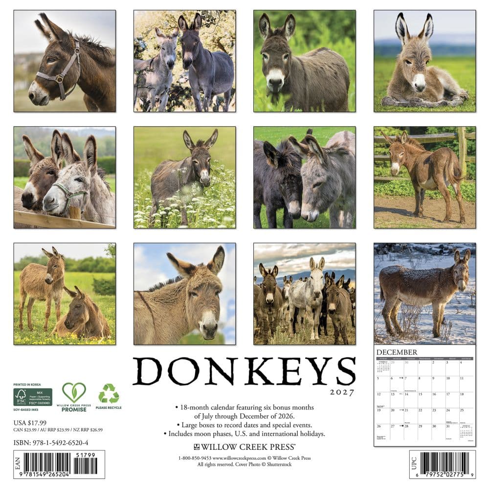 image Donkeys 2027 Wall Calendar First Alternate Image