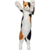 image Crazy Kitten 15in Standing Cat - Styles May Vary Second Alternate Image