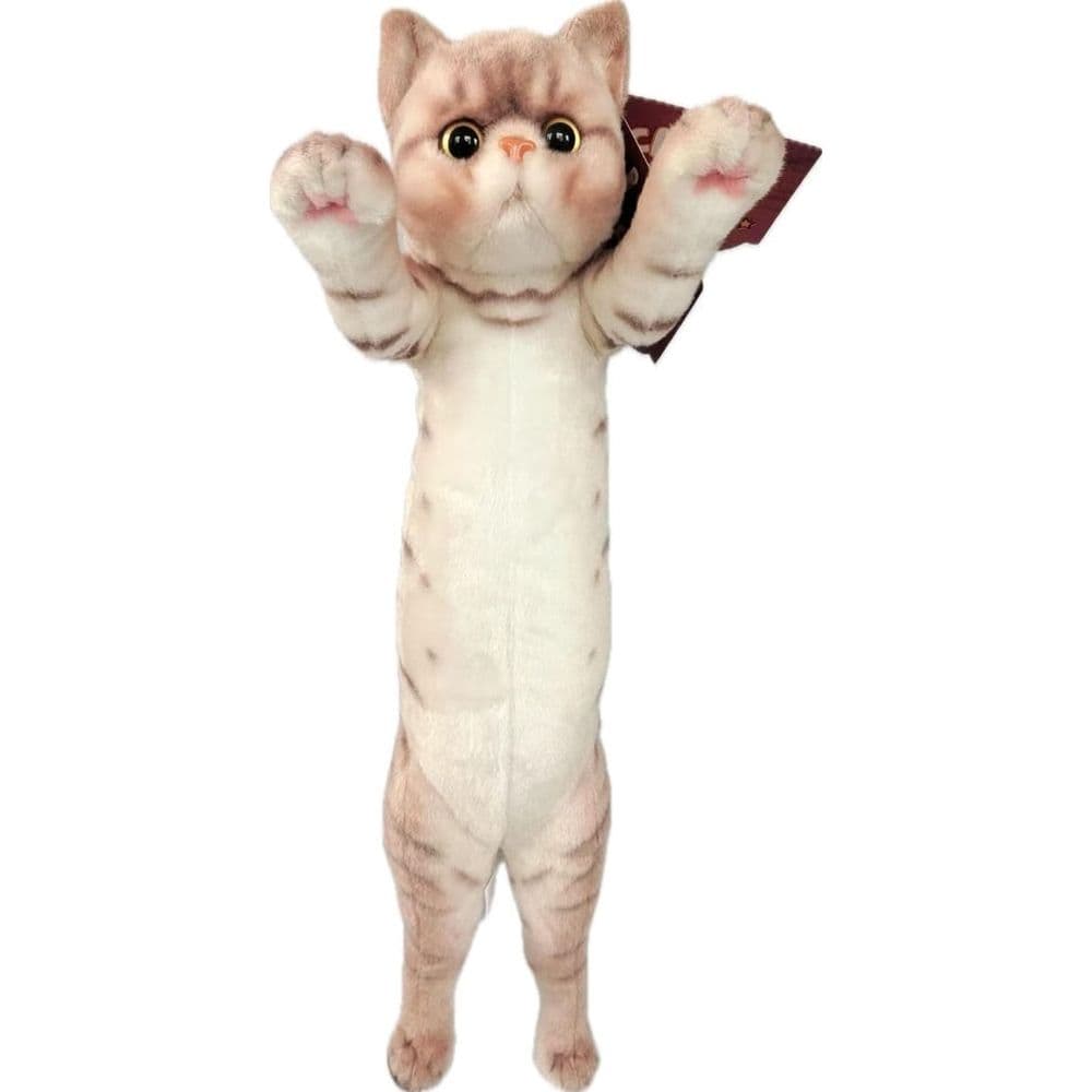 Crazy Kitten 15in Standing Cat - Styles May Vary Third Alternate Image