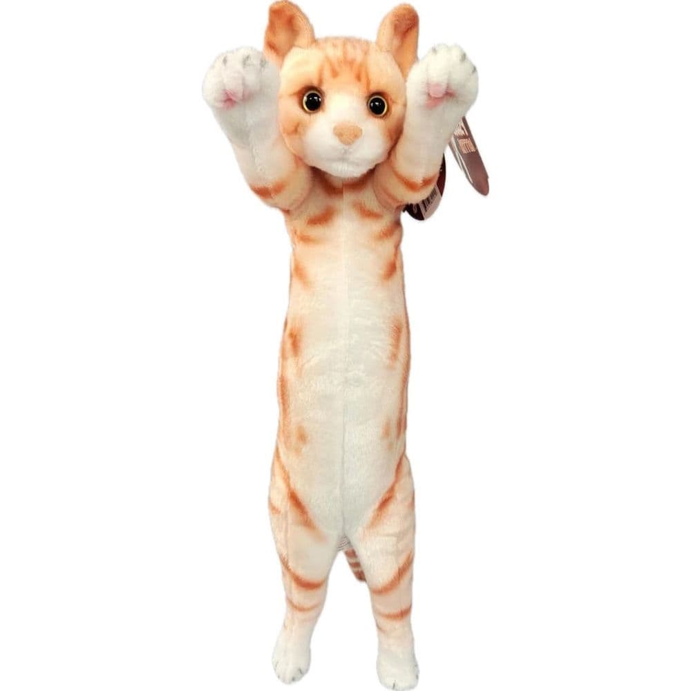 Crazy Kitten 15in Standing Cat - Styles May Vary Fourth Alternate Image