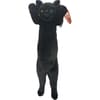 image Crazy Kitten 15in Standing Cat - Styles May Vary Fifth Alternate Image