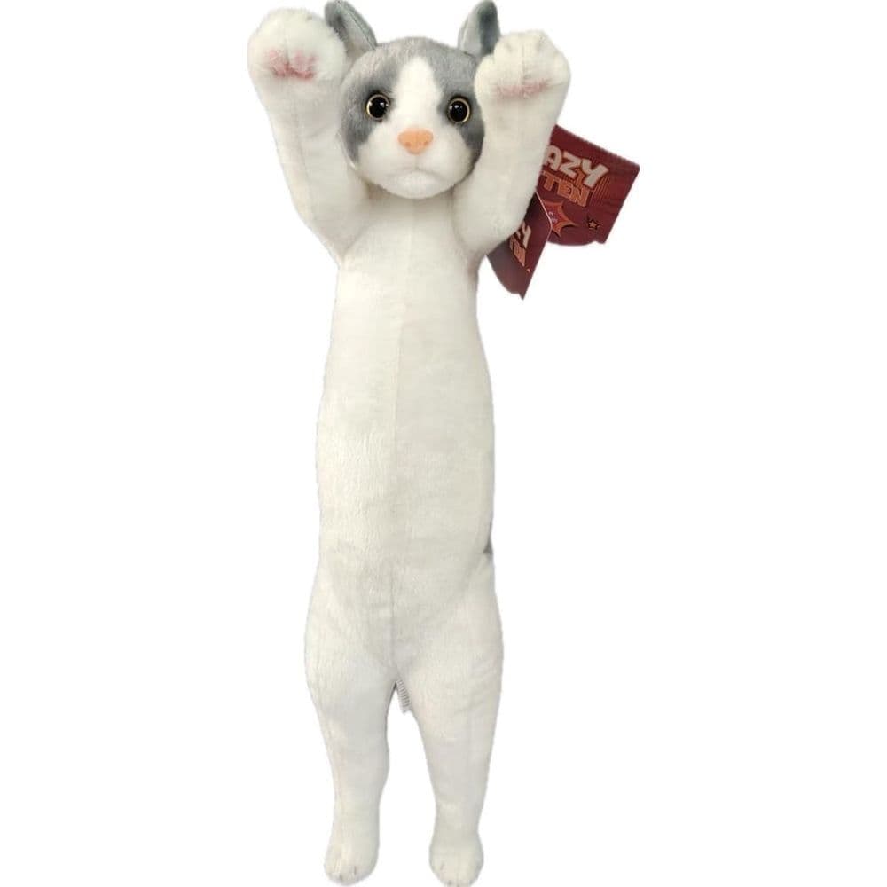Crazy Kitten 15in Standing Cat - Styles May Vary Seventh Alternate Image